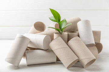 Empty toilet paper roll. Empty toilet paper rolls and plant for on white background. Paper tube of toilet paper. Place for text. Copy space. Flat lay. Eco-friendly reuse recycle