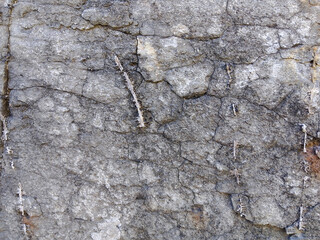 A close-up image of the weathered and textured surface of a natural stone material.