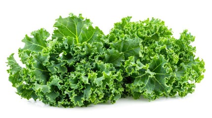 Obraz premium fresh Kale isolated on white background