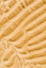 Patterns In The Sand