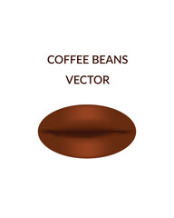 Vector coffee beans for your advertisement seed realistic Coffee beans dark roast piles of coffee, Applicable for cafe advertising, package, menu design. Vector illustration.