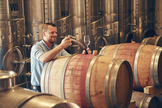 Man, barrel and wine maker with glass as manager for tasting, process and production. Supplier, winery and happy or smile at product for alcohol manufacturing, craft and liquor at factory in startup