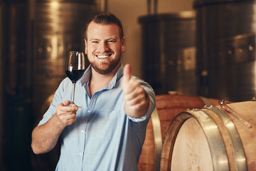 Portrait, man and glass of wine with thumbs up, thank you and agreement with smile in distillery....