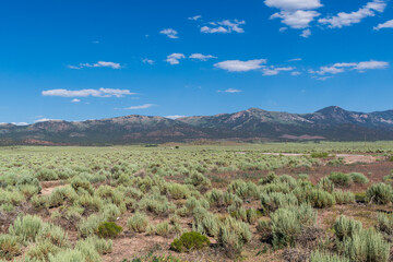 Beautiful Nevada Open Space Mountains in Summer