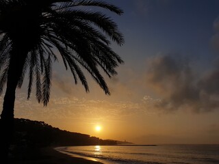 sunset on the beach © Viktor