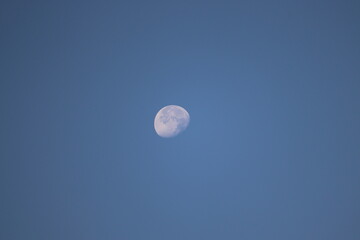 View of a full moon at late evening
