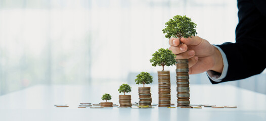 Growth coin stack with tree on top symbolize green business investment on CSR or ESG for...