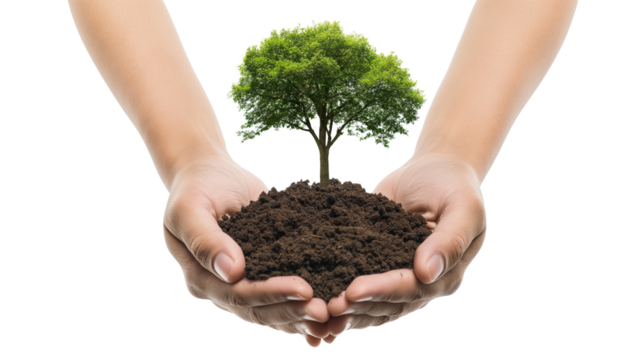 Hands holding tree and dirt isolated on a transparent background - Powered by Adobe