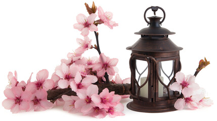 Rustic Decorative Lantern with Pink Blossoms isolated on a transparent background
