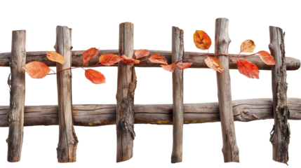 Rustic Wooden Fence with Autumn Leaves isolated on a transparent background