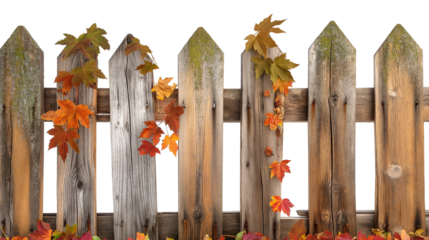 Rustic Wooden Fence with Autumn Leaves isolated on a transparent background