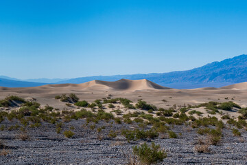 Mesquite Flat Sand Dunes, Death Valley National Park, California