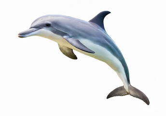 One cute jumping dolphin isolated on white background with empty label for text. Generative AI.