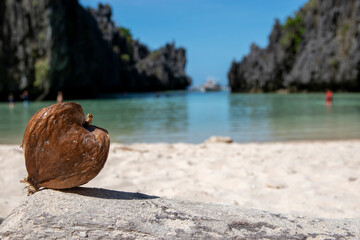 View of a coconut on a paradise beach during a sunny day, copy space