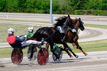 Racing horses trots and rider on a track of stadium. Competitions for trotting horse racing. Horses...