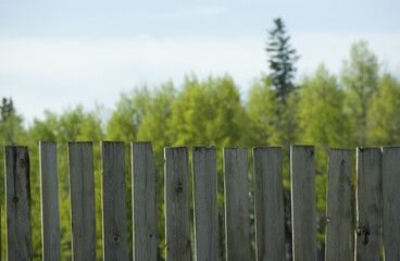 Picket Fence
