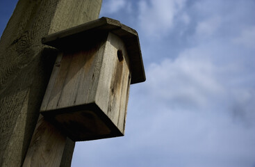 Bird House