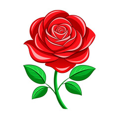 Vector Red Rose Illustration 