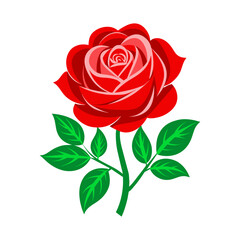 Vector Red Rose Illustration 