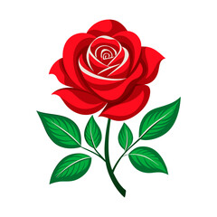 Beautiful red rose illustration 