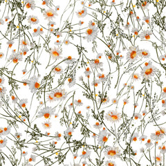 A meadow adorned with wildflowers dances gently in the breeze, illuminated by warm sunlight.