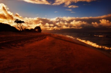 Beach Scenic