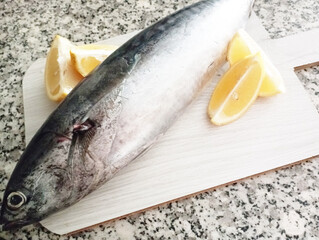 raw fish big fish bonito background