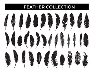 A Collection of Black Feathers on a White Background