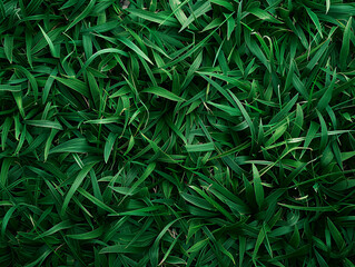 Beautiful green grass background close up.Generative AI.