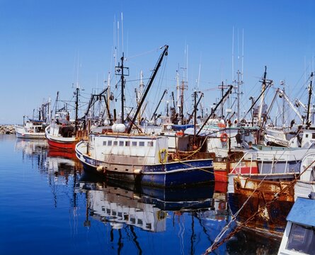 Fishing Boats In Harbor; Digby, Nova Scotia, Canada