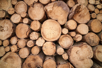 Stack of timber logs, natural material used for lumber and cuisine ingredients