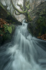waterfalls in the Belaustegi beech forest in Orozko, Bizkaia in the Gorbea natural park on a foggy...