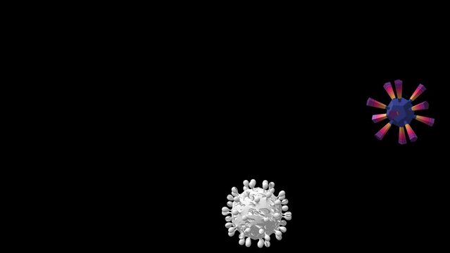 gwiazda fluktuacje geometria