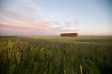 Prairie Field, Manitoba, Canada