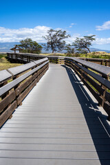 Manufactured wood Kealia Coastal Boardwalk, National Wildlife Refuge, handicap accessible...