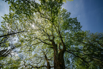 Fototapety na wymiar - Fototapeta24.pl