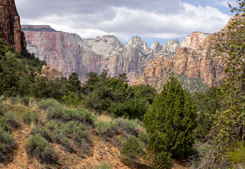 The West Temple and Towers of the Virgin from the Mount Carmel Highway in Zion National Park, Utah, USA on 25 April 2024