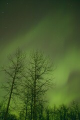 Northern Lights Alberta Canada