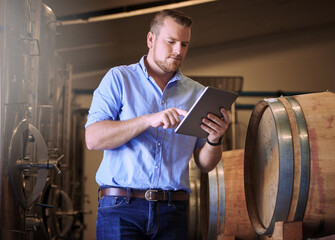 Business, man and browsing tablet in brewery as manager for research or product, process and...