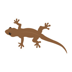 lizard icon vector illustration design template