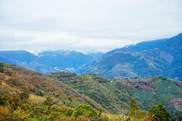 Fototapeta premium ali shan mountain and qingjing farm landscape in Taiwan 