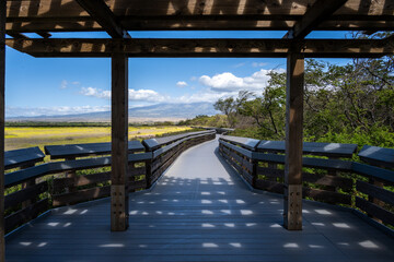 Manufactured wood Kealia Coastal Boardwalk, National Wildlife Refuge, handicap accessible exploration in nature, Maui, Hawaii
