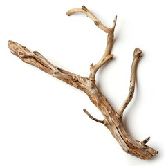 Twig driftwood twig white background isolated on white background 
