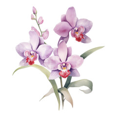 Orchid, Tropical Flower Illustration. Watercolor Style. AI Generated