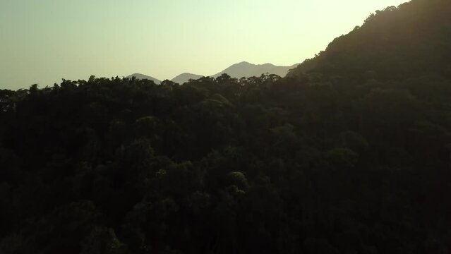 Explorando a Beleza Natural: Imagens A&eacute;reas das Florestas e Praias num lindo p&ocirc;r do sol