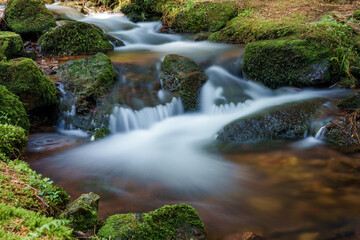 Naklejka na ściany i meble A serene waterfall flows through lush vegetation in a forested ecoregion