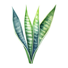 Obraz premium Snake Plant, Tropical Leaf Illustration. Watercolor Style. AI Generated