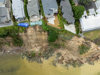 Erosion flood damage of Pohtukawa trees falling from the cliffs from severe storms. Stanley Point,...