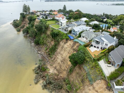 Erosion flood damage of Pohtukawa trees falling from the cliffs from severe storms. Stanley Point, Auckland, New Zealand. February 2023