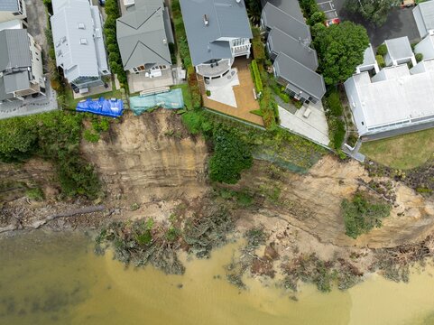 Erosion flood damage of Pohtukawa trees falling from the cliffs from severe storms. Stanley Point, Auckland, New Zealand. February 2023